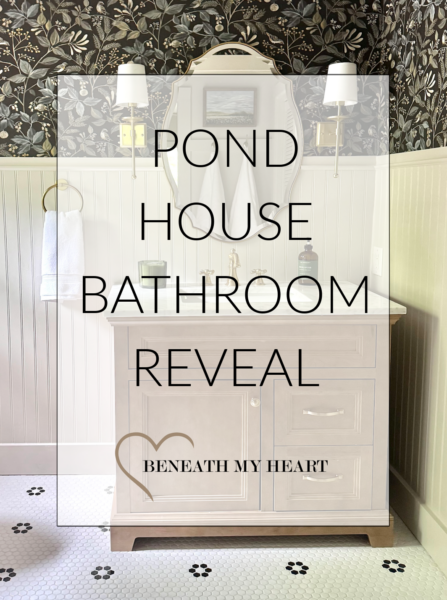 Pond House Bathroom REVEAL!